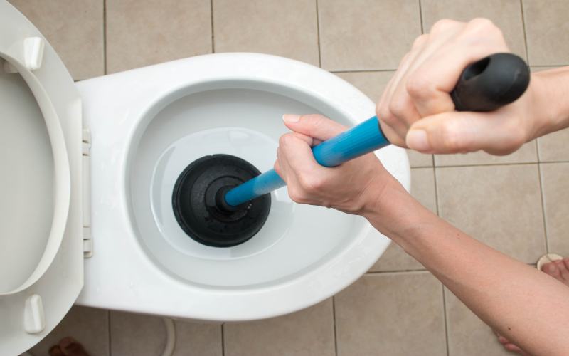 Notfall Toilette Verstopft Bern